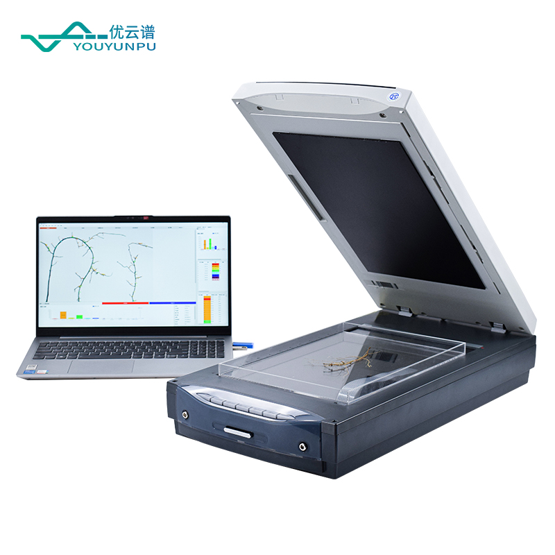 什么品牌的根系分析系統能區分活根死根？顏色分析功能與直徑等級輸出實測